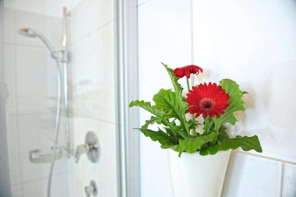 Greenhome Appartement Niedernsill Cameră foto